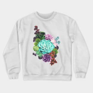 Succulent Crewneck Sweatshirt